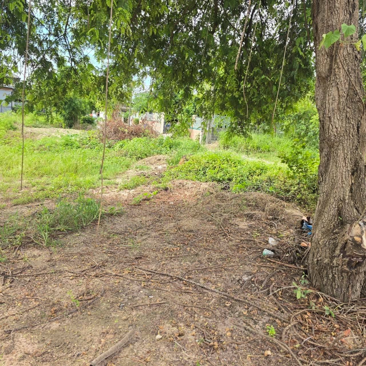 Land for sale in Nong Pla Lai Pattaya, quiet area near Route 36, ideal for pool villa or private home.